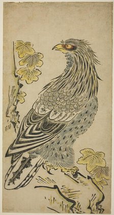 A Hawk on a Cliff near a Kiri Tree, c. 1716. Creator: Torii Kiyomasu I.