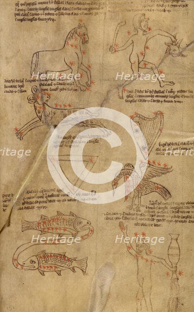 Constellation Diagrams, early 13th century. Creator: Unknown.