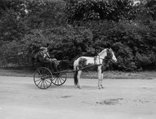 Pony cart, Belle Isle Park, Detroit, Mich., between 1900 and 1908. Creator: Unknown.
