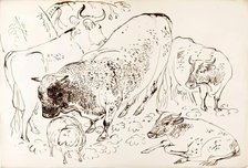 Four Cows and A Sheep, 1825-1839. Creator: James Howe.