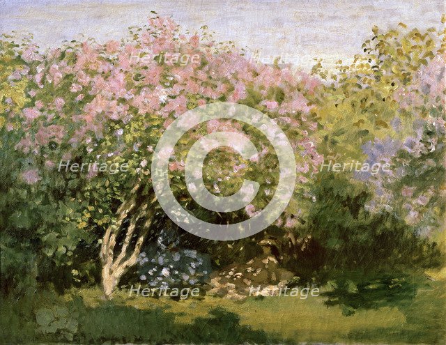'Lilac in the Sun', 1872-1873.  Artist: Claude Monet