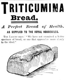 Advertisement for Triticumina Bread, 1895. Creator: Unknown.