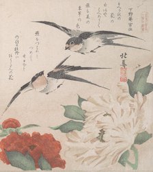 Spring Rain Collection (Harusame shu), vol. 3: Swallows and Peonies, ca. 1820., ca. 1820. Creator: Hokuba.