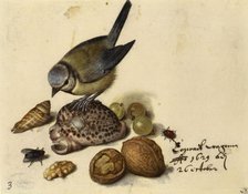 Still Life with Blue Tit, Shells, Fruits and Insects, 1629. Creator: Flegel, Georg (1566-1638).