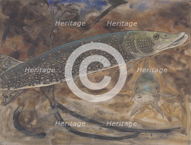 Two Pike in an aquarium, seen from the side and from the front, c.1876-c.1924. Creator: Gerrit Willem Dijsselhof.