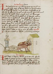 A Farmer with an Open Treasure Chest; Fables, third quarter of 15th century. Creator: Unknown.