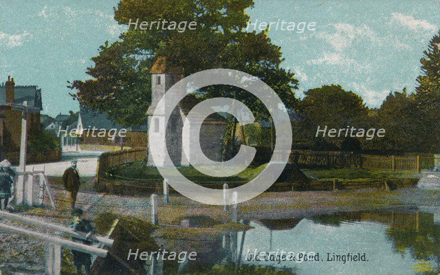 Old cage and pond, Lingfield, Surrey, c1905. Artist: Unknown.