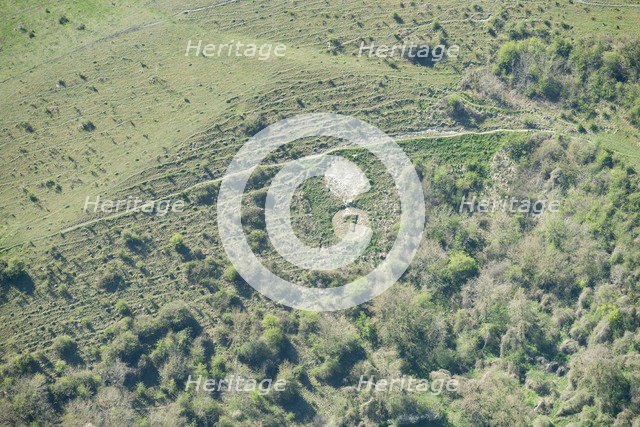 Chalk military badge of the 7th (City of London) Battalion, near Sutton Down, Wiltshire, 2015. Creator: Historic England Staff Photographer.