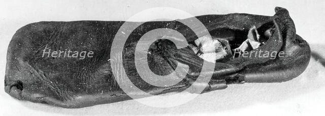 Shoe, England, 16th century. Creator: Unknown.