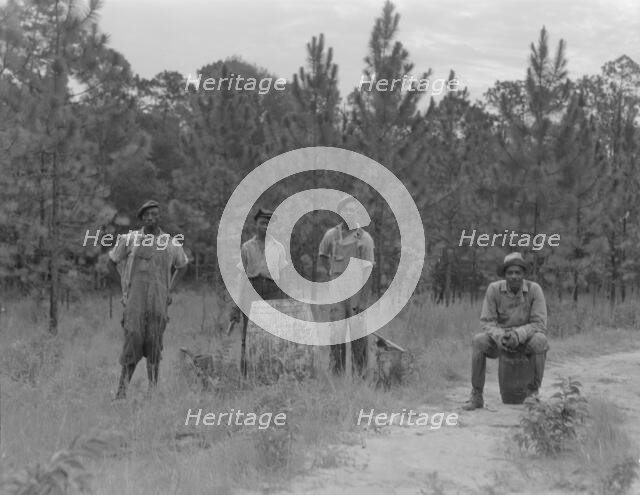 Turpentine workers, Georgia, 1937. Creator: Dorothea Lange.