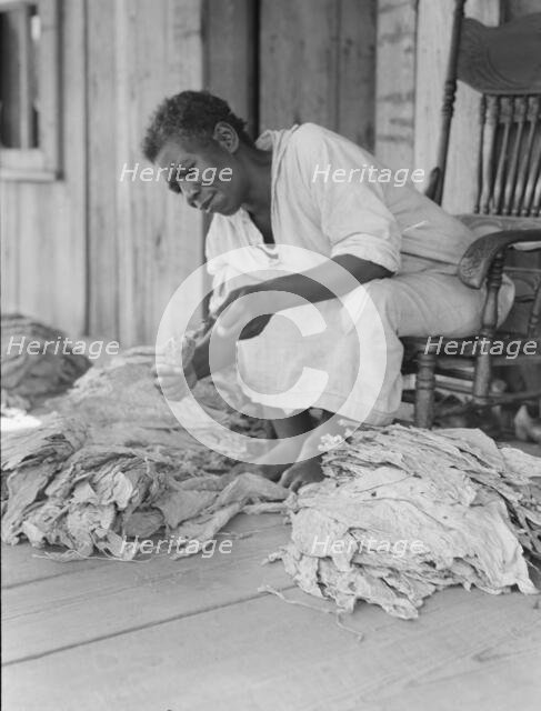 Near Douglas, Georgia, 1938. Creator: Dorothea Lange.
