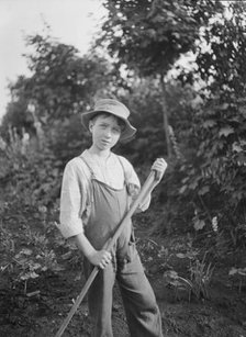Boy in the gardens of the National Cash Register Company, Dayton, Ohio, between 1896 and 1942. Creator: Arnold Genthe.