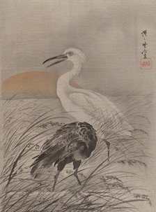 Cranes in Marsh, ca. 1887. Creator: Kawanabe Kyosai.