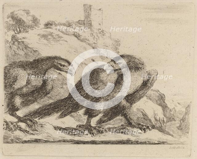 Two Eagles with Tower in Background. Creator: Stefano della Bella.