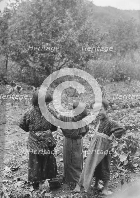 Travel views of Japan and Korea, 1908. Creator: Arnold Genthe.