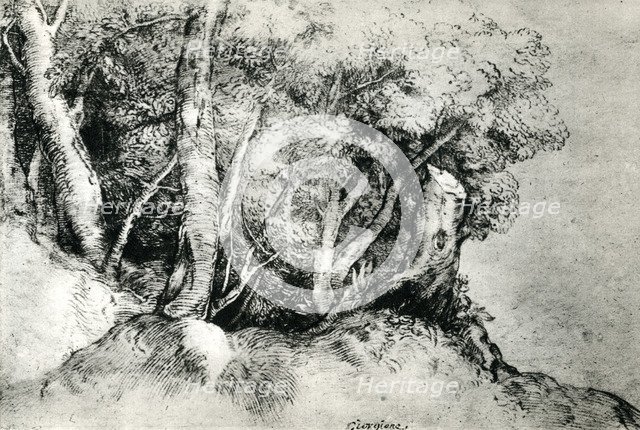 'Forest Landscape', c1516-1518, (1937). Artist: Titian