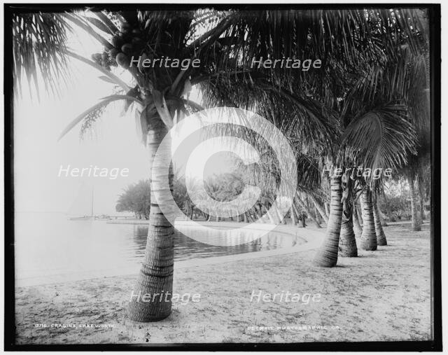 Cragin's, Lake Worth, Fla., c1894. Creator: William H. Jackson.
