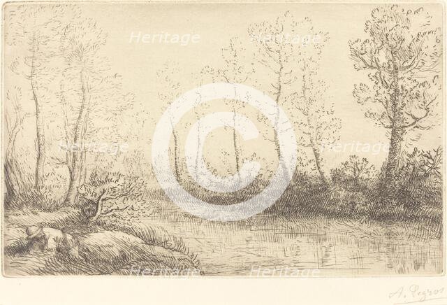 Birch Trees: Water's Edge Seen in Morning Light (Les Bouleaux: Bord de l'eau, effet du matin). Creator: Alphonse Legros.