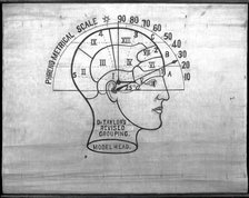 Phrenology: the human and animal brain, the location of its functions..., c1840s. Creator: Unknown.