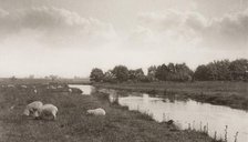 On the River Bure, 1886. Creator: Peter Henry Emerson.