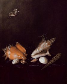 Still Life with Shells and Insects, 1656. Creator: Pieter van de Venne.