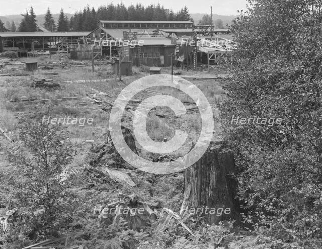 Possibly: Mumby Lumber Mill, closed in 1938..., Malone, Grays Harbor County, Washington, 1939. Creator: Dorothea Lange.