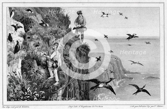 Kamchatka, Hunting Puffins, 19th century. Creators: Friedrich Heinrich Kittlitz, Victor Adam, Godefroy Engelmann, Leon Jean-Baptiste Sabatier.