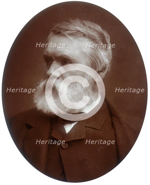 Tom Taylor, dramatist and critic, 1881. Creator: Lock & Whitfield.