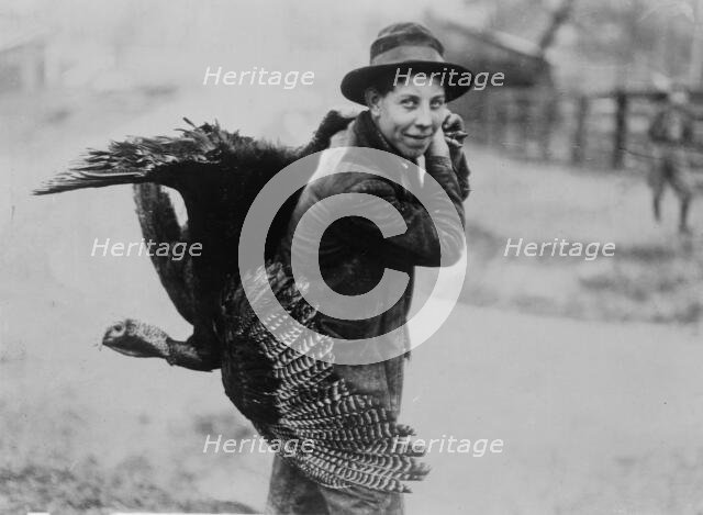 Thanksgiving turkey, between c1910 and c1915. Creator: Bain News Service.
