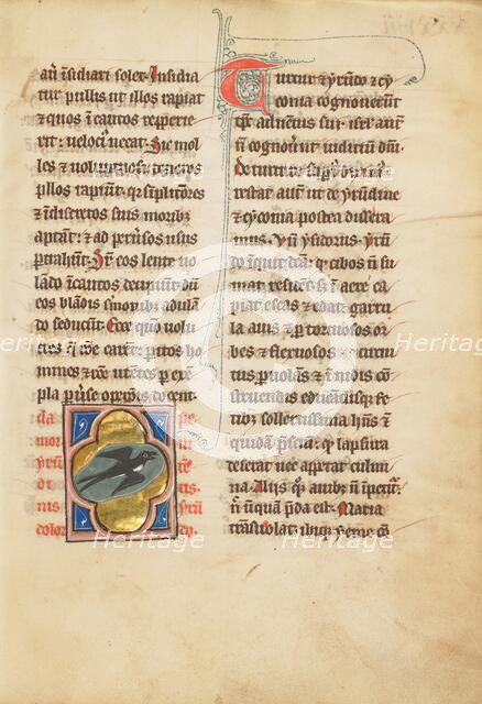 A Swallow; De Natura Avium; De Pastoribus et Ovibus; Bestiarium, 1277 or after. Creator: Unknown.