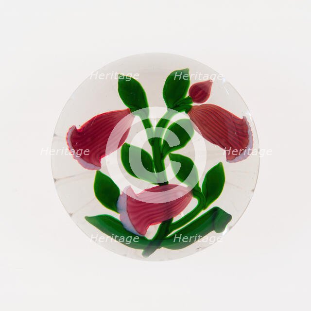 Paperweight, France, 19th century. Creator: Baccarat Glasshouse.