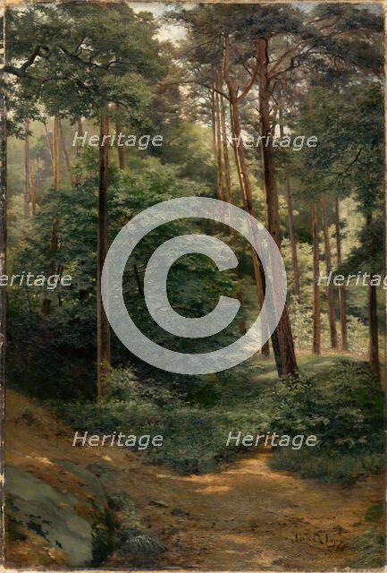 Forest, 1894. Creator: Ludovit Cordak.