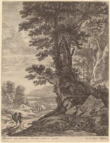 A Group of Trees. Creator: Herman van Swanevelt.