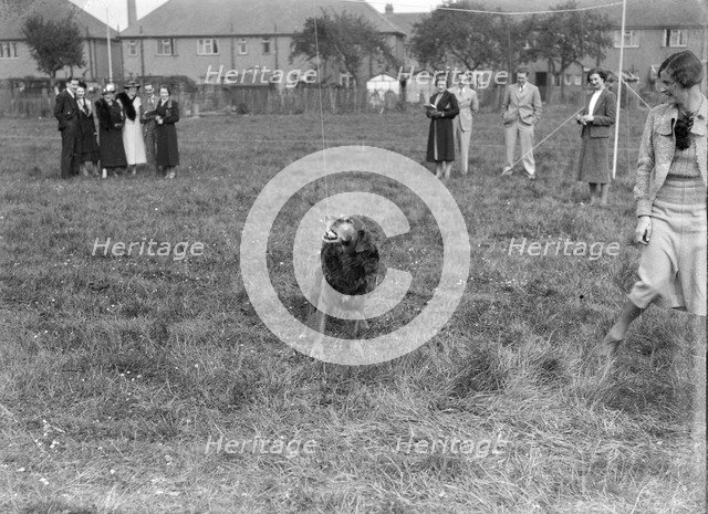 Standard Car Owners Club Gymkhana, 8 May 1938. Artist: Bill Brunell.