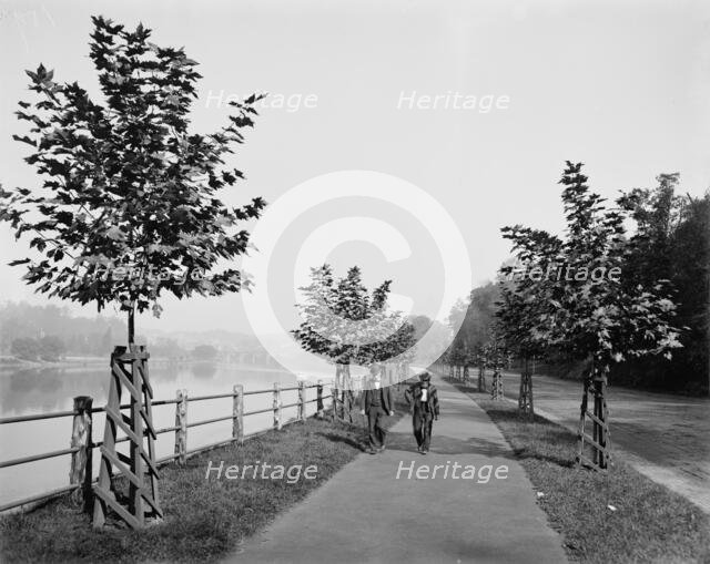 River Drive, Fairmount Park, Philadelphia, between 1900 and 1906. Creator: Unknown.