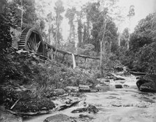 Mt Tamborine water wheel, Queensland, 1892. Creator: Poul C Poulsen.