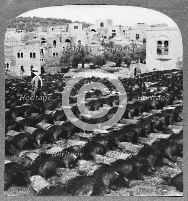 'Making wine bottles, Hebron', c1900. Artist: Unknown.
