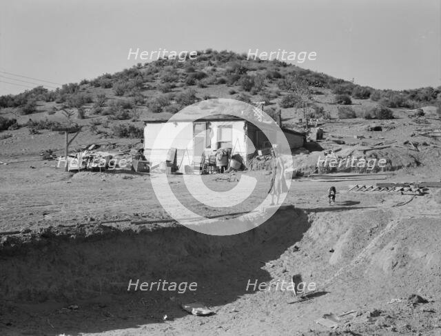 New farm in Cow Hollow, Malheur County, Oregon, 1939. Creator: Dorothea Lange.