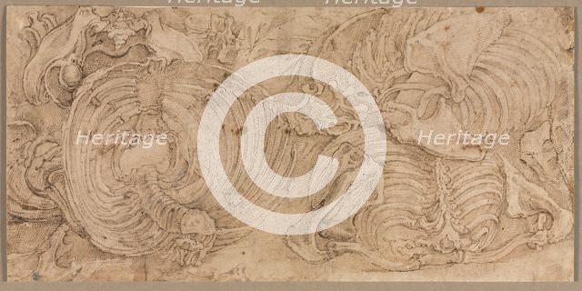 Rib Cages, early 1540s. Creator: Battista Franco (Italian, c. 1510-1561).