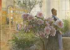 Azalea, 1906. Artist: Larsson, Carl (1853-1919)