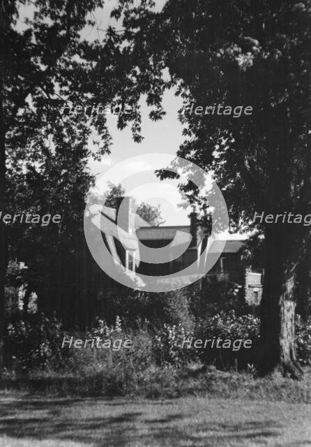 Cosgrave residence and grounds, not before 1917. Creator: Arnold Genthe.