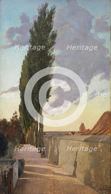 Landscape with Poplars. September Evening, 1895. Creator: Laurits Andersen Ring.