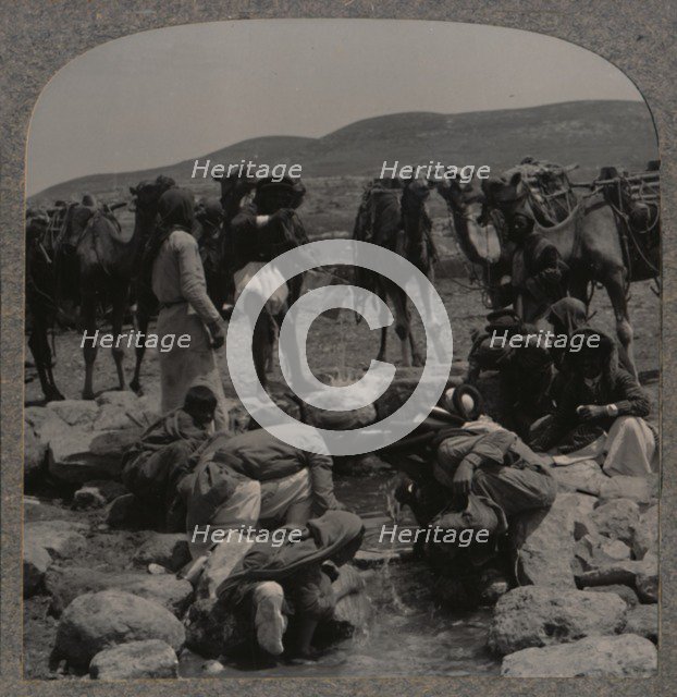 'Watering camels at Jacob's Well', c1900. Artist: Unknown.