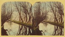 A View on the River Lea, In Essex, about 1860. Creator: London Stereoscopic & Photographic Co.