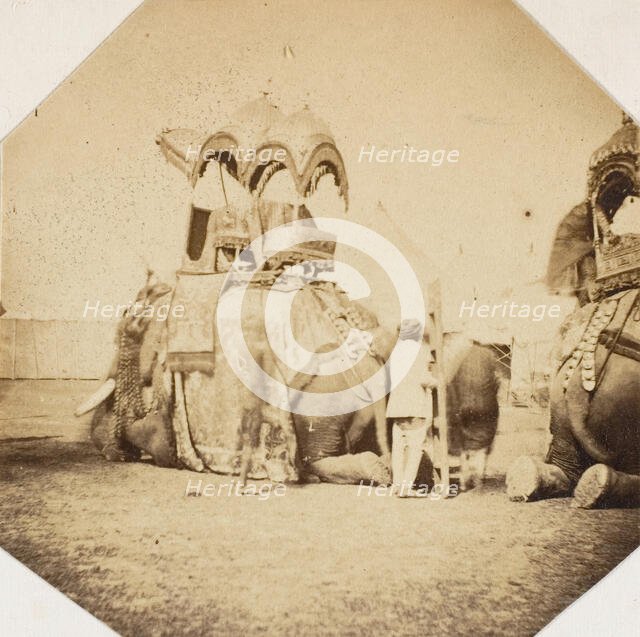 Maharajah Putteala's State Elephant, 1858-61. Creator: Unknown.