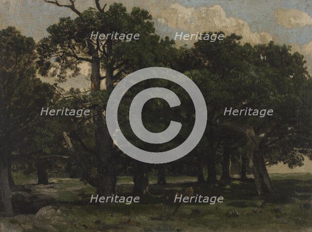 Pines, c1870. Creator: Jozef Szermentowski.