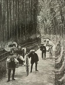 'A Bamboo Avenue at Kyoto', 1910. Creator: Herbert Ponting.