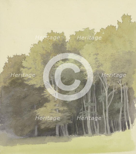 Edge of a wood, c1853. Creator: Carl Theodor Reiffenstein.