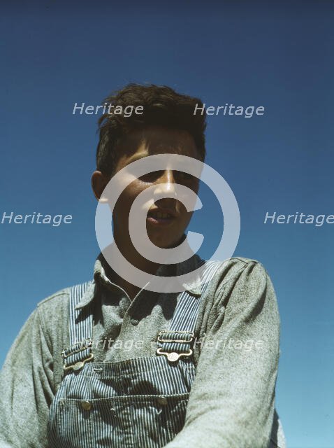 Portrait of a farm boy, between 1941 and 1945. Creator: Unknown.