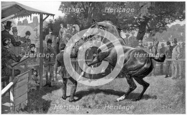 Sale of Hunters Raising and objection, 1885. Artist: Unknown